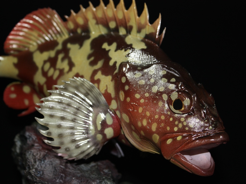 カサゴ フィギュア 魚寸27cm - FFA【Fogures For Anglers】 - BOOTH