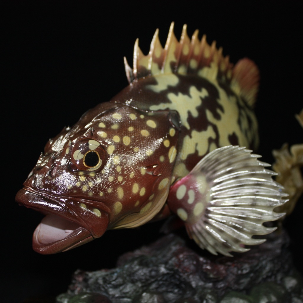 カサゴ　フィギュア　魚寸27cm