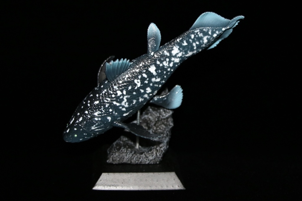 シーラカンス　フィギュア　13cm