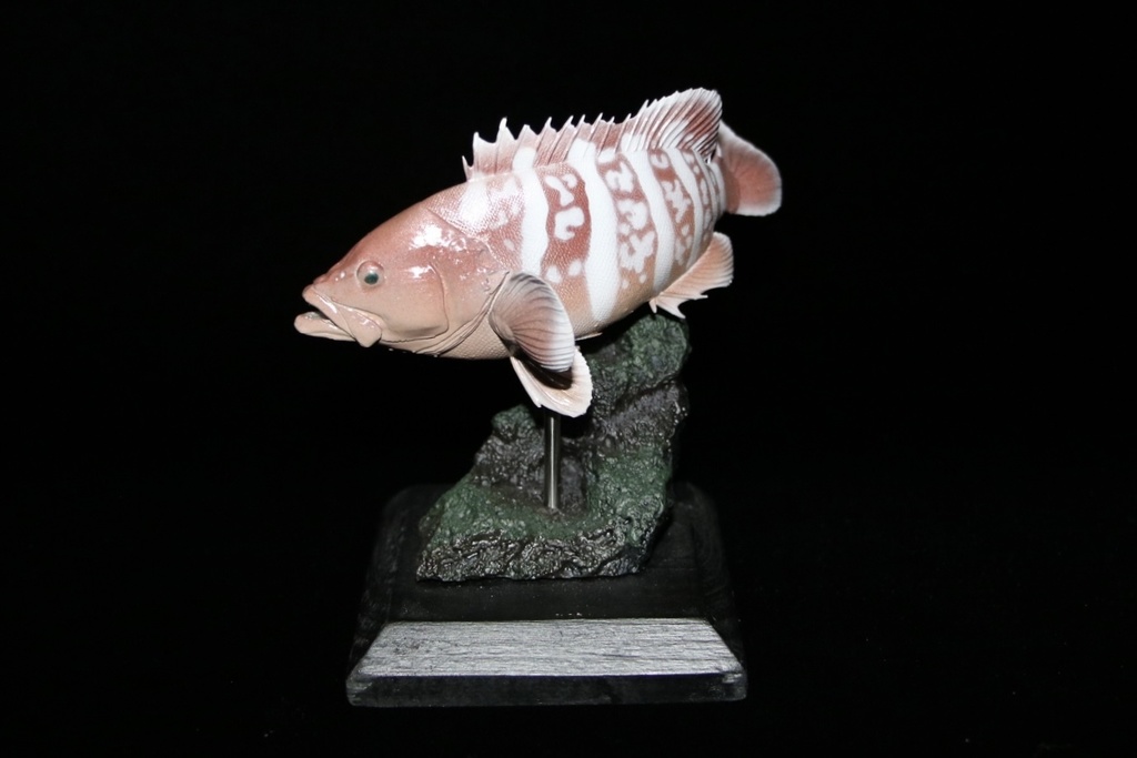 マハタ　フィギュア