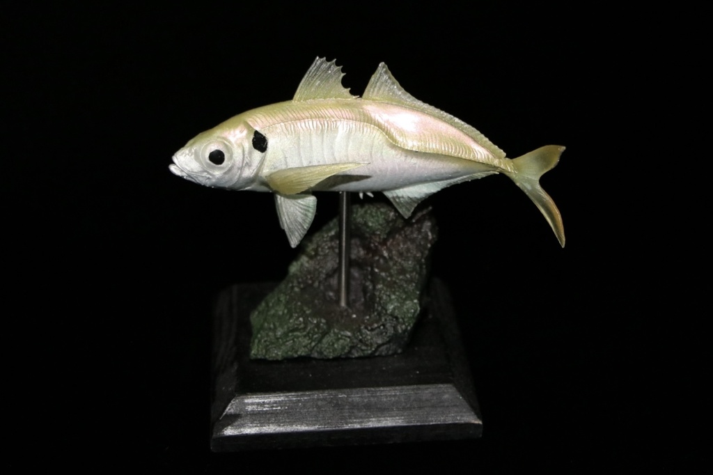 アジ　フィギュア　小