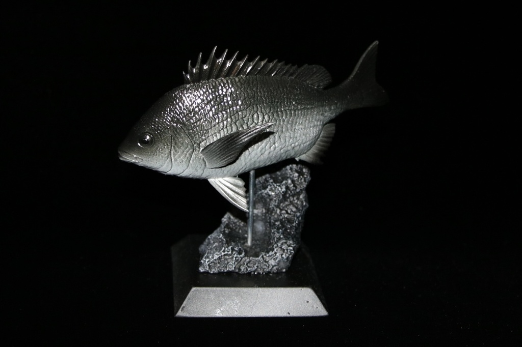 クロダイ　フィギュア