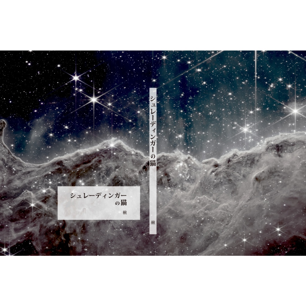 シュレーディンガーの猫