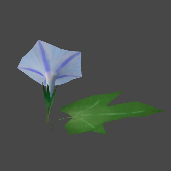 アサガオの3Dモデル