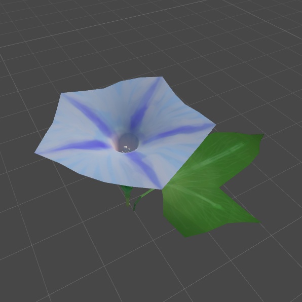 アサガオの3Dモデル