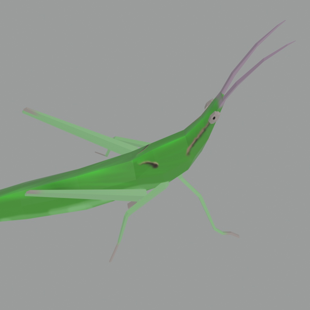 ショウリョウバッタ(ショウジョウバッタ)の3Dモデル