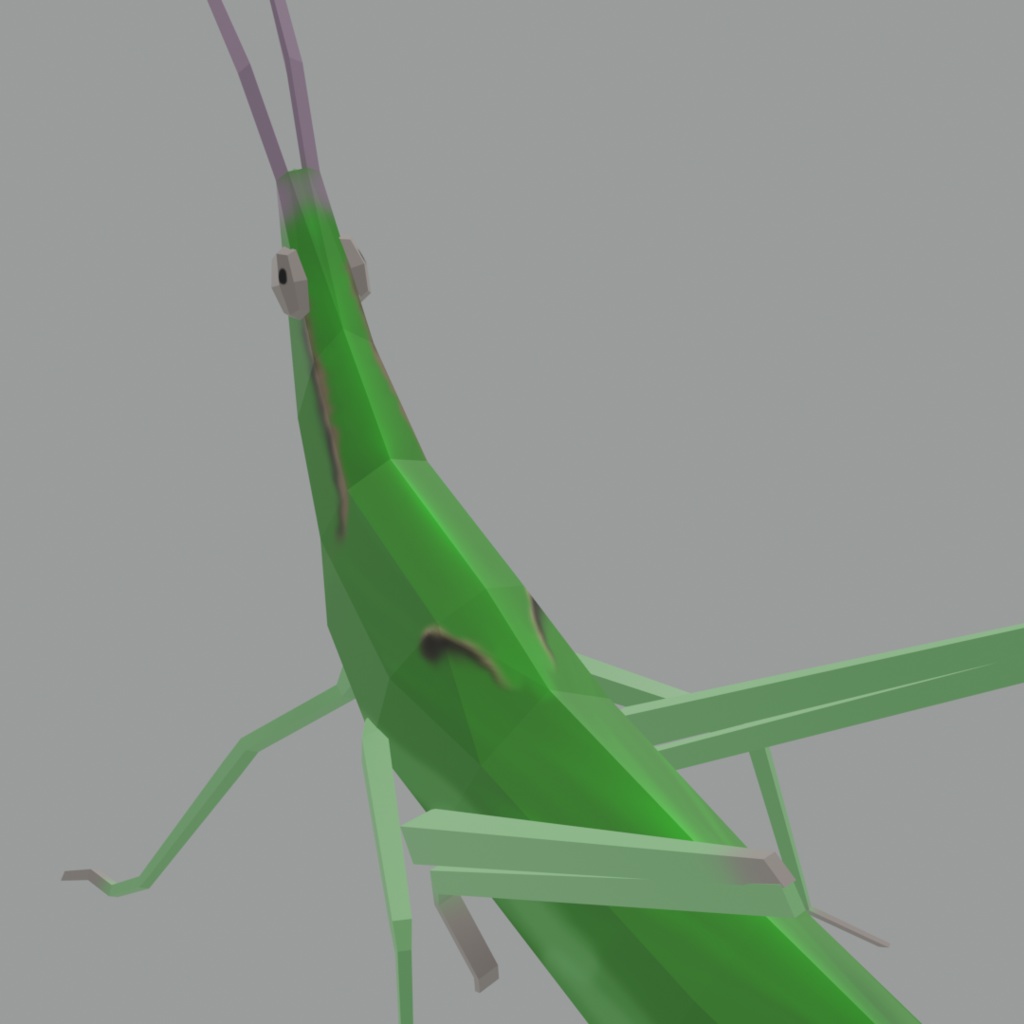 ショウリョウバッタ(ショウジョウバッタ)の3Dモデル