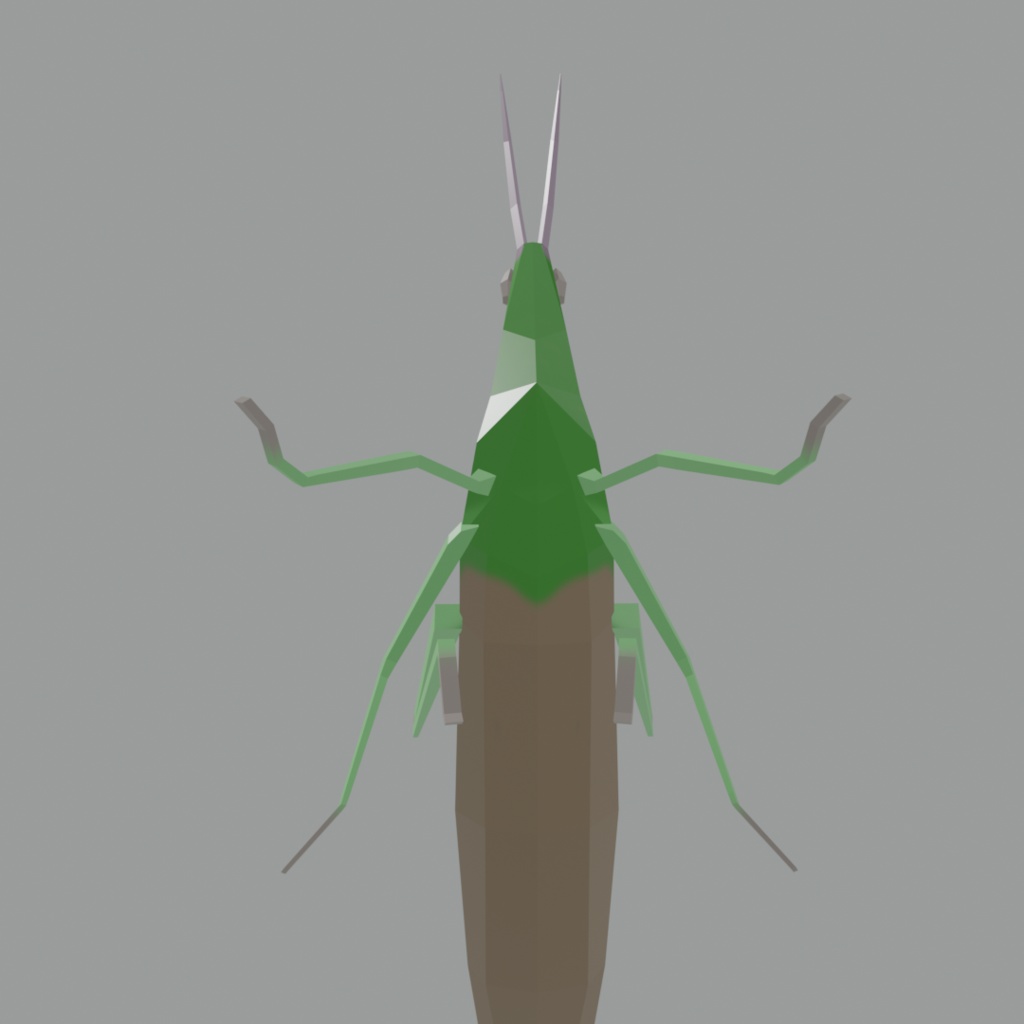 ショウリョウバッタ(ショウジョウバッタ)の3Dモデル
