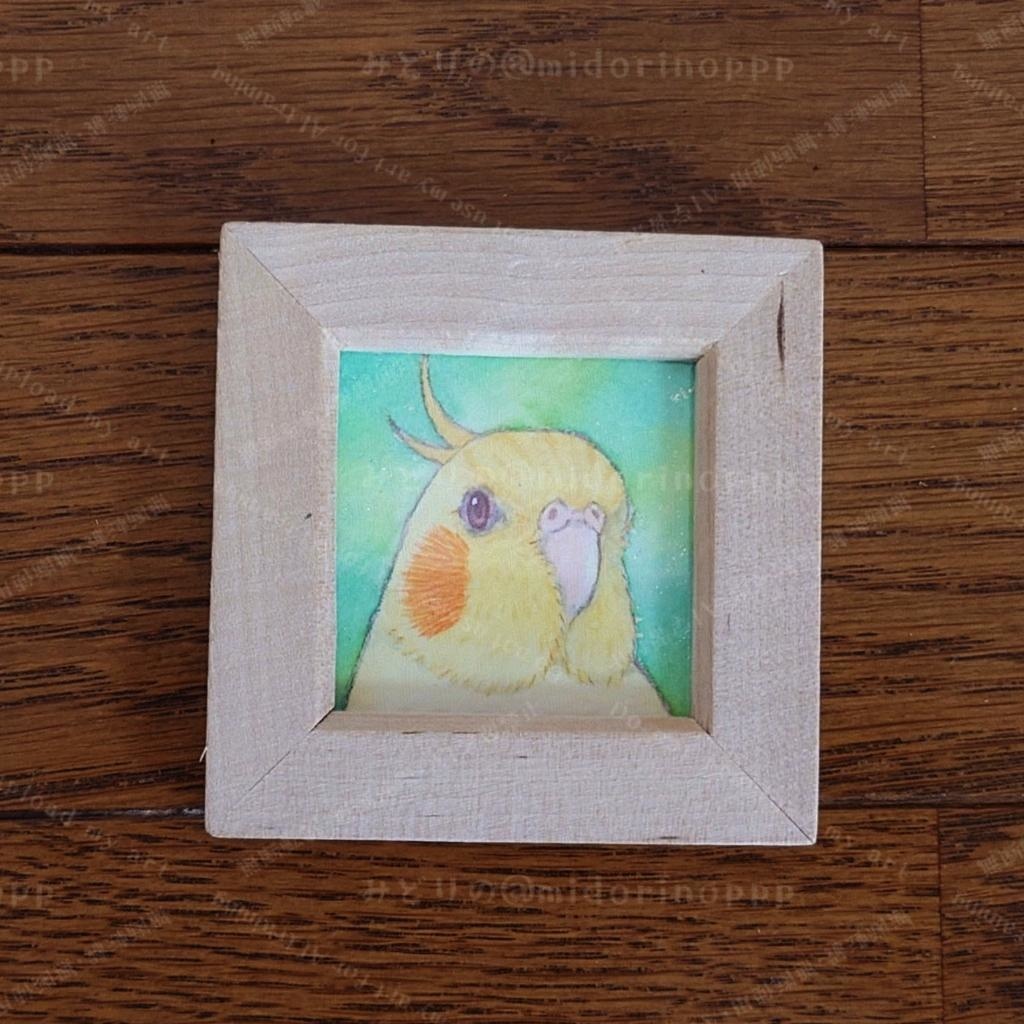 【ミニ原画】オカメインコのおかお（ルチノー）