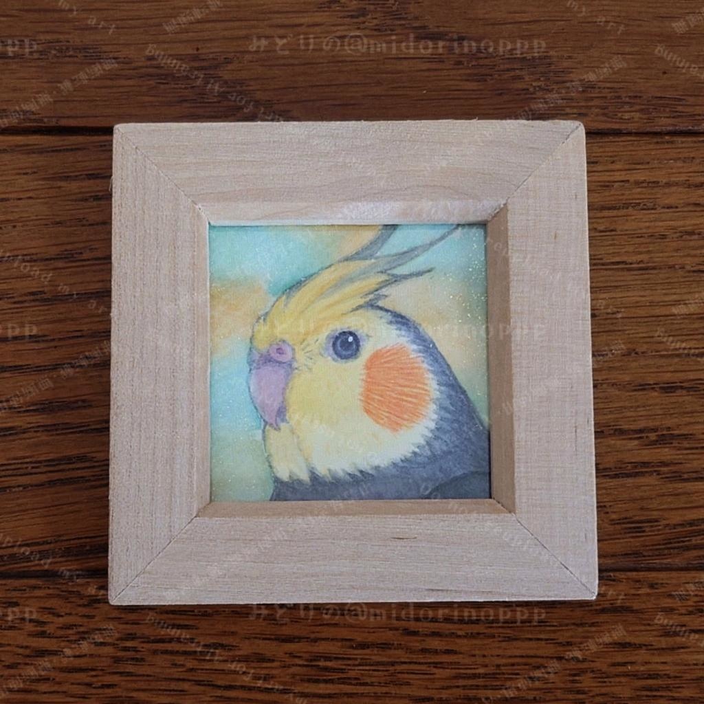 【ミニ原画】オカメインコのおかお（ノーマル）