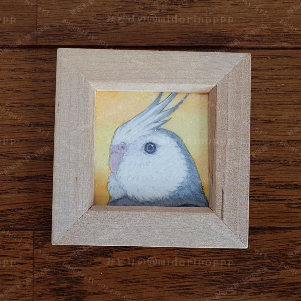 【ミニ原画】オカメインコのおかお（ホワイトフェイス）