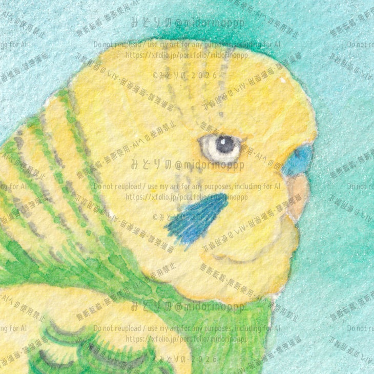【ミニ原画】セキセイインコのおかお(イエローパイド)