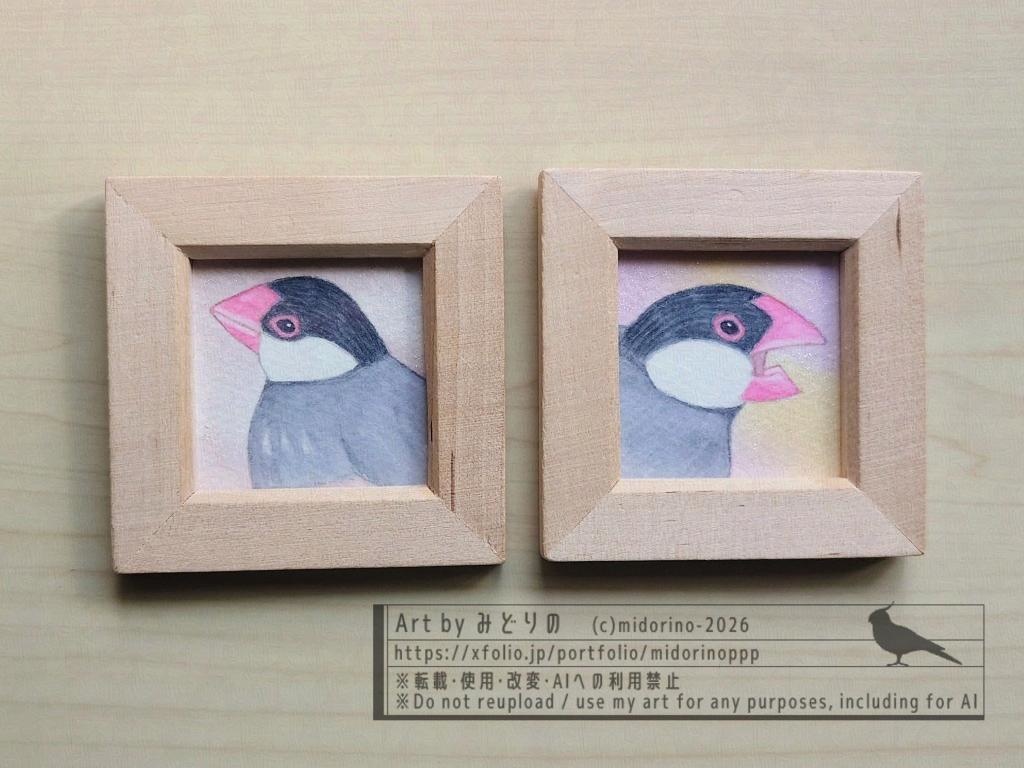 【ミニ原画】桜文鳥のおかお