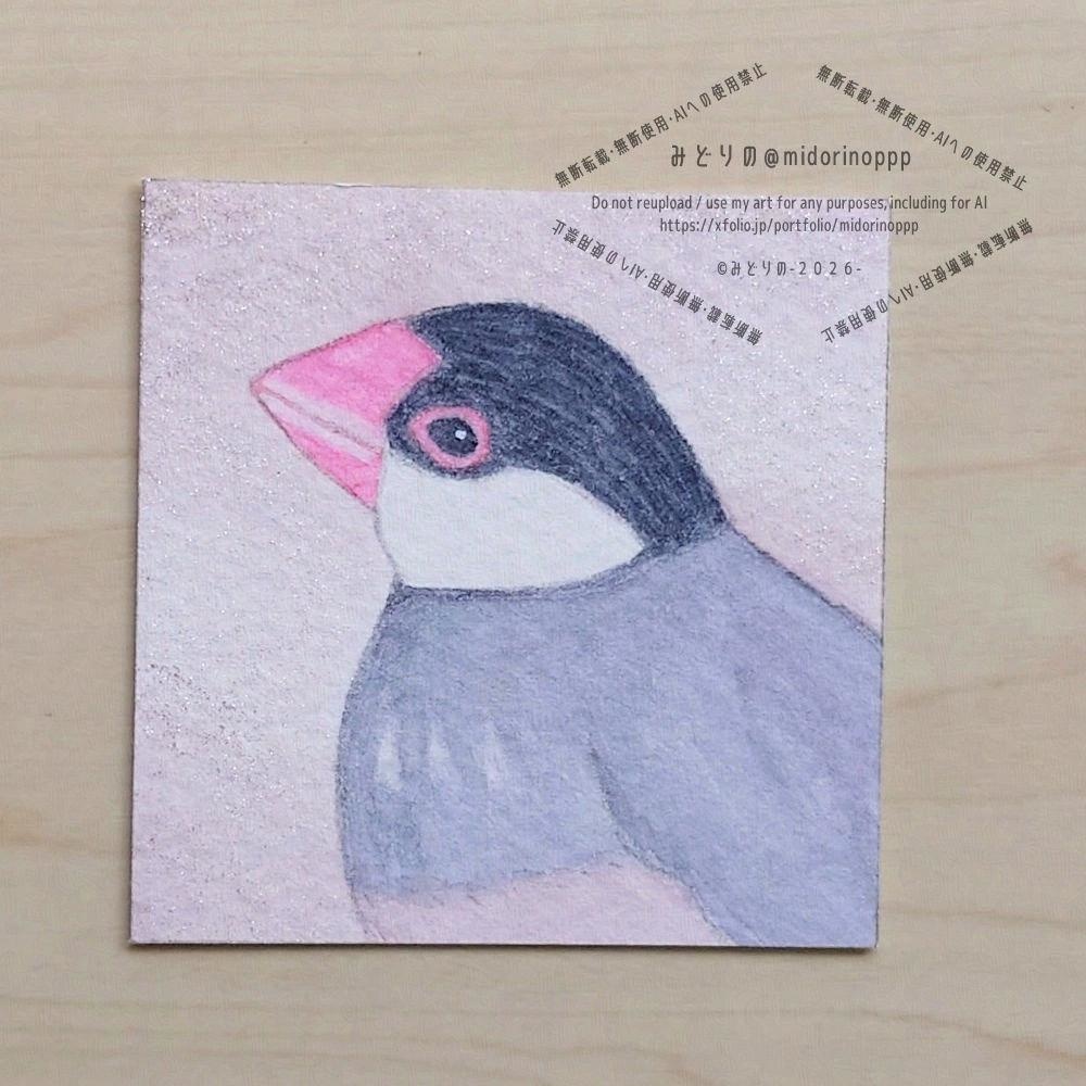 【ミニ原画】桜文鳥のおかお