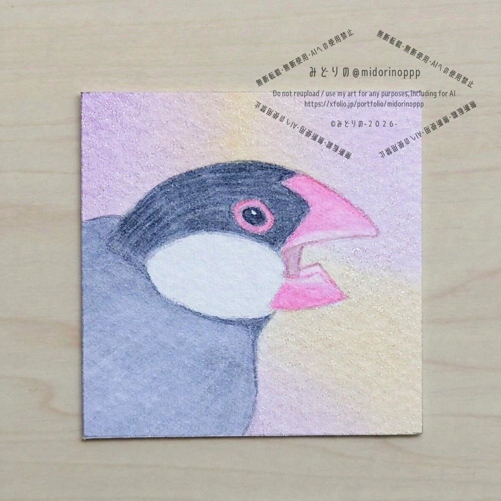 【ミニ原画】桜文鳥のおかお