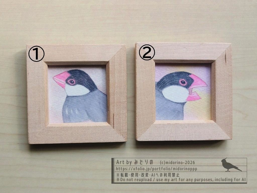 【ミニ原画】桜文鳥のおかお