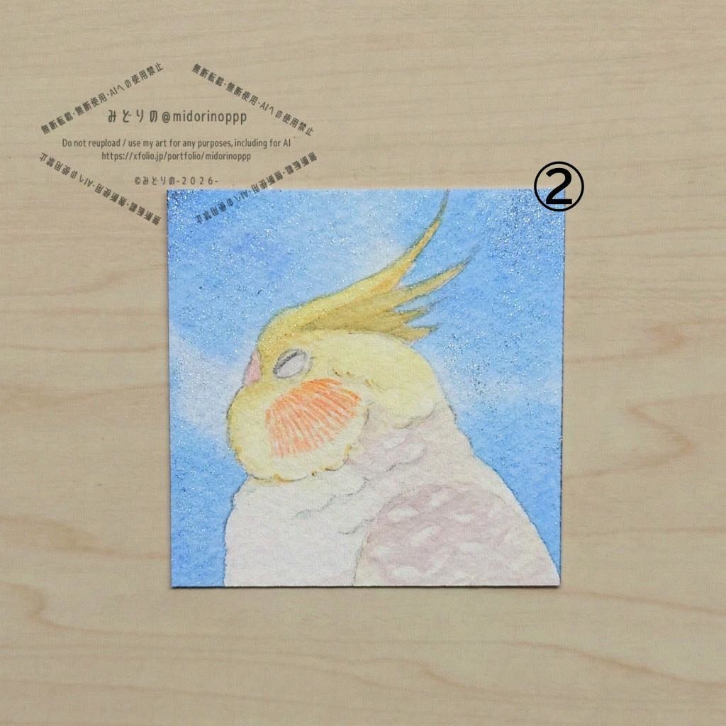 【ミニ原画・額なし】オカメインコのおかお(シナモンパールパイド)