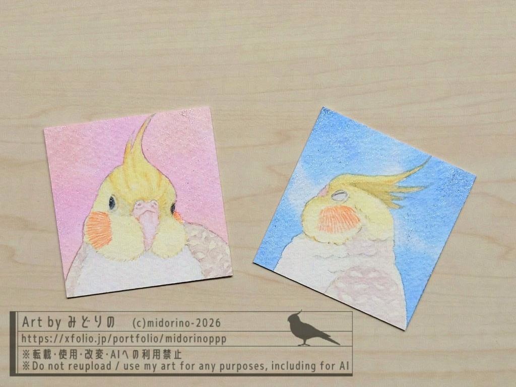 【ミニ原画・額なし】オカメインコのおかお（シナモンパールパイド）