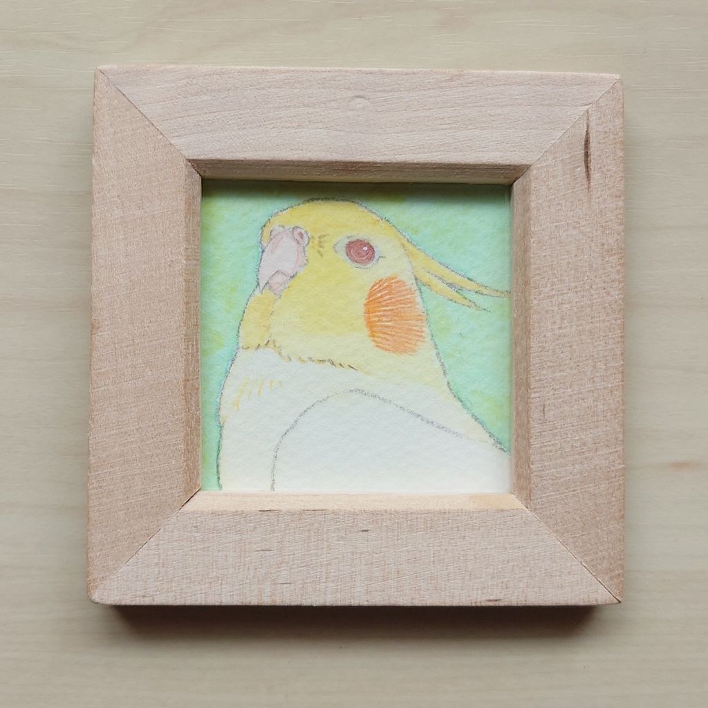 【ミニ原画】オカメインコ