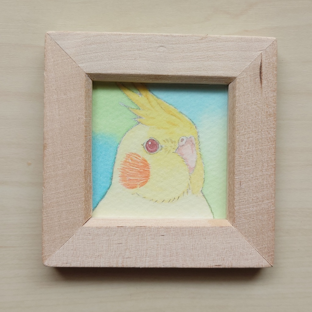 【ミニ原画】オカメインコ