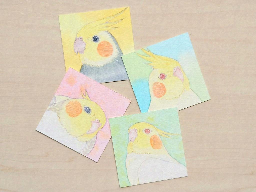 【ミニ原画】オカメインコ