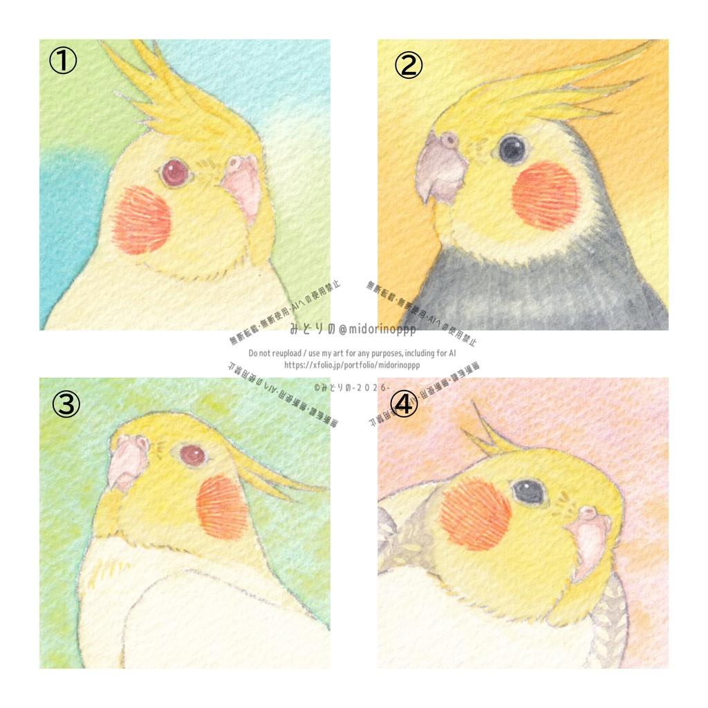 【ミニ原画】オカメインコ