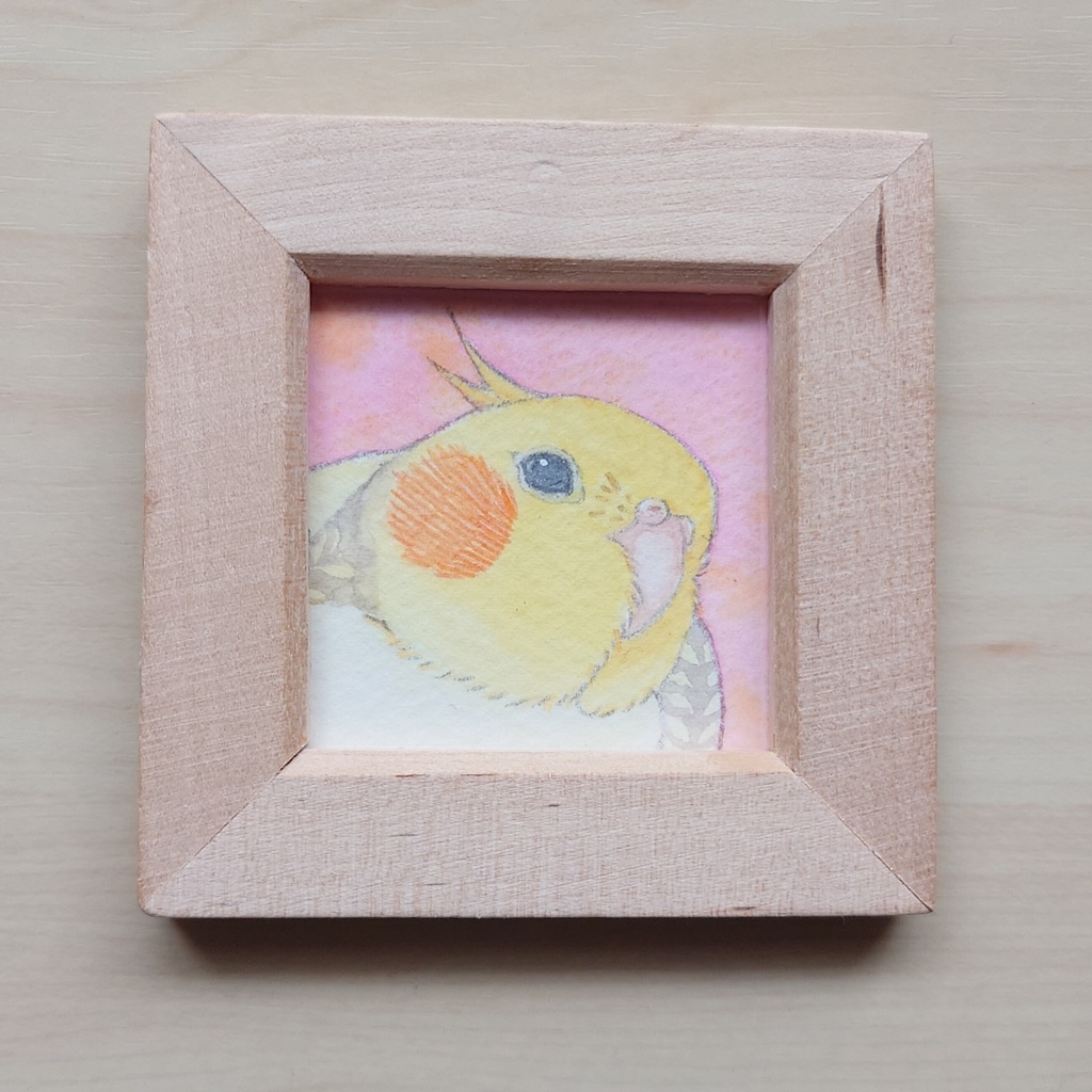 【ミニ原画】オカメインコ