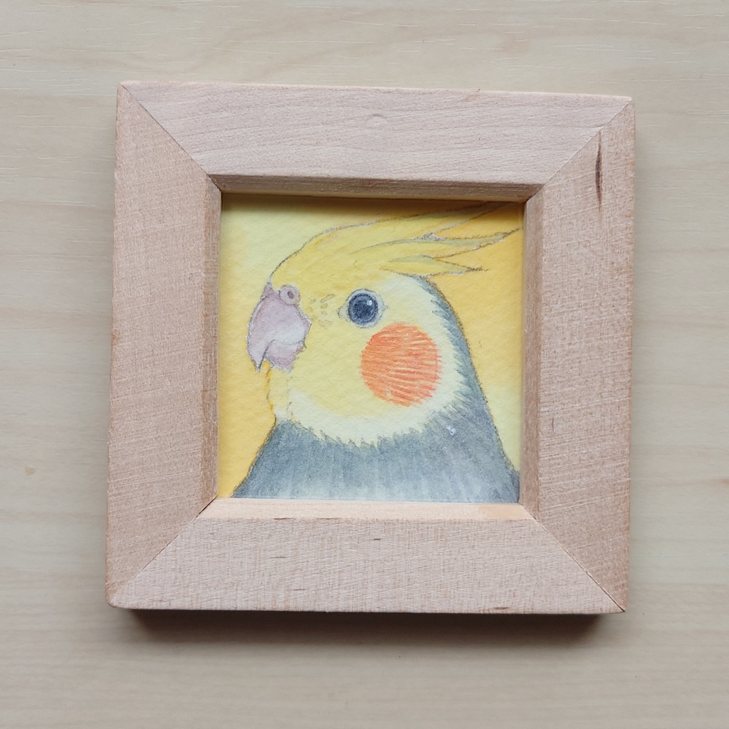 【ミニ原画】オカメインコ