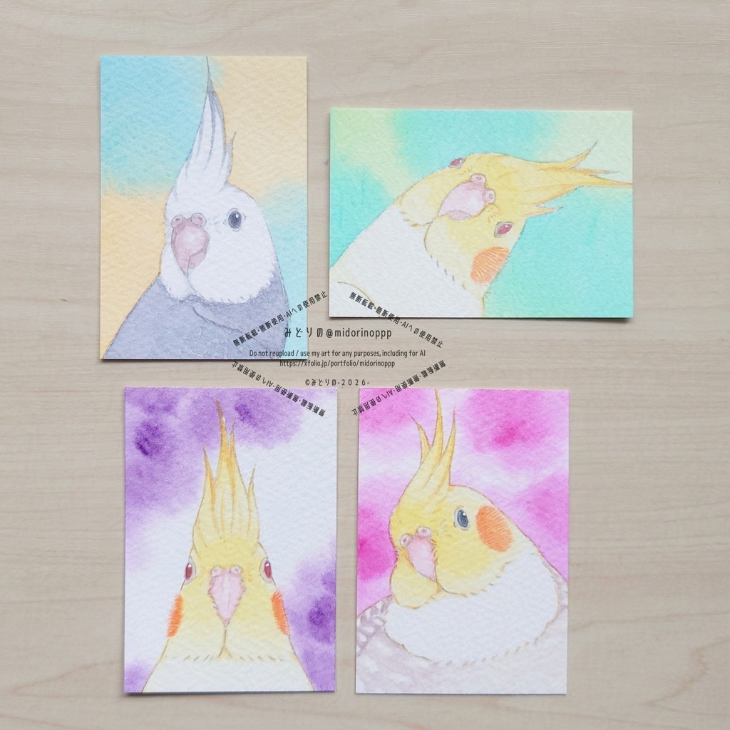 【ミニ原画】オカメインコ 02