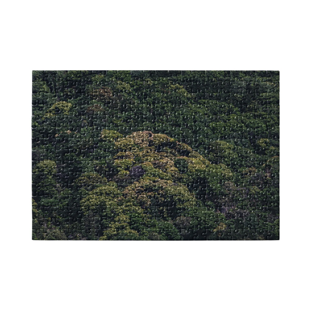 ジグゾーパズル 森_001