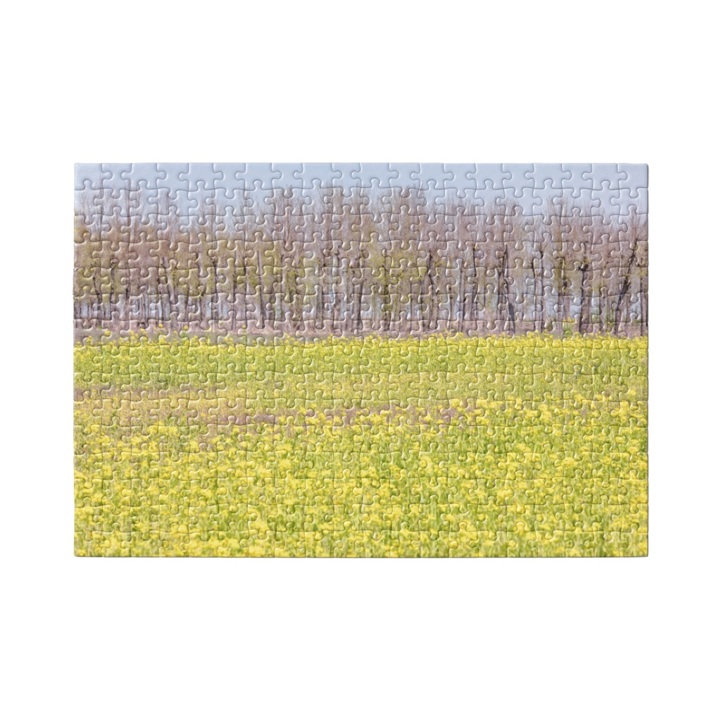 ジグゾーパズル 「菜の花_002」