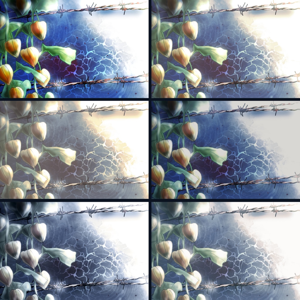 背景用素材017【夏の花・陰】