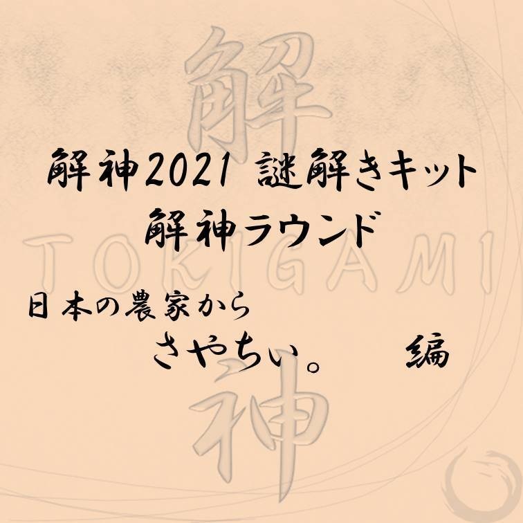 解神2021謎解きキット 解神ラウンド さやちぃ。