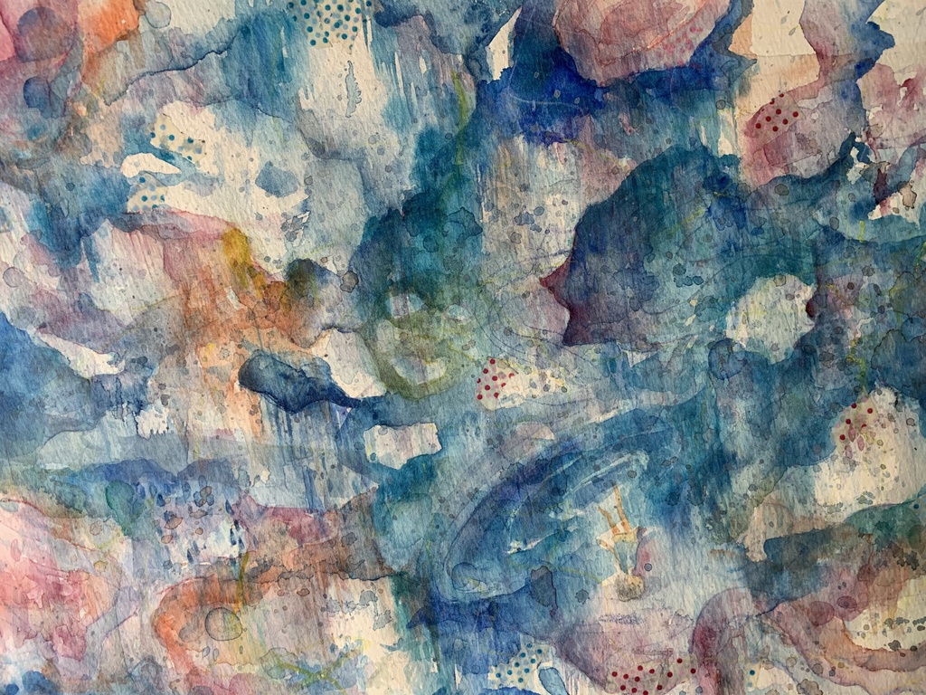 スロースコール