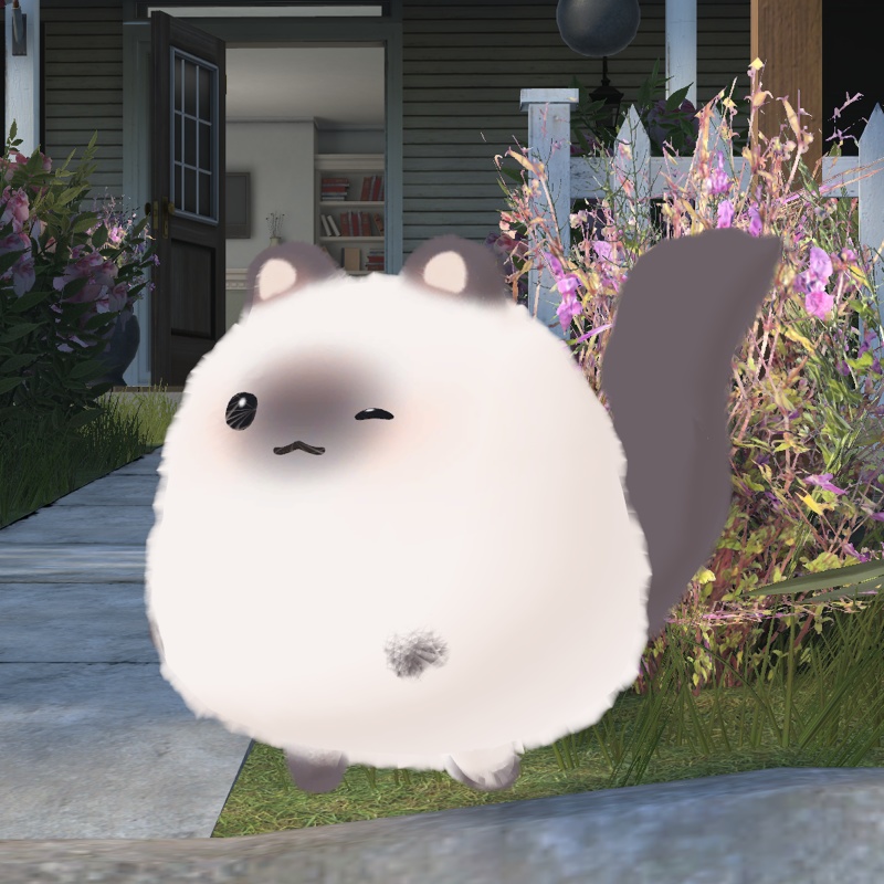 はむラグドール