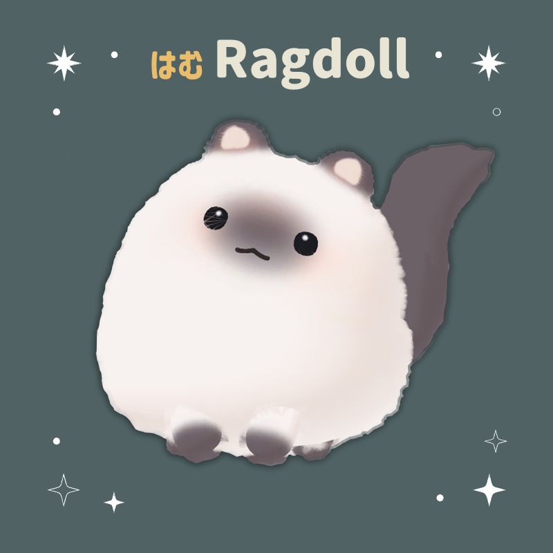 はむラグドール
