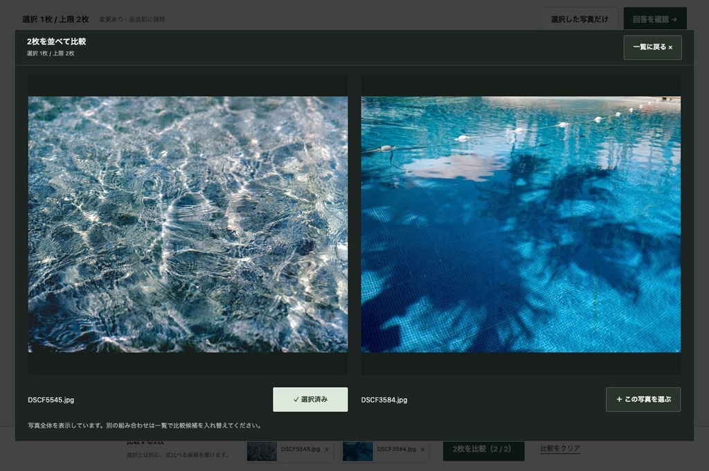 写真セレクト便|写真選定・2枚比較・コメント【PC用/買い切り/無料体験版あり】