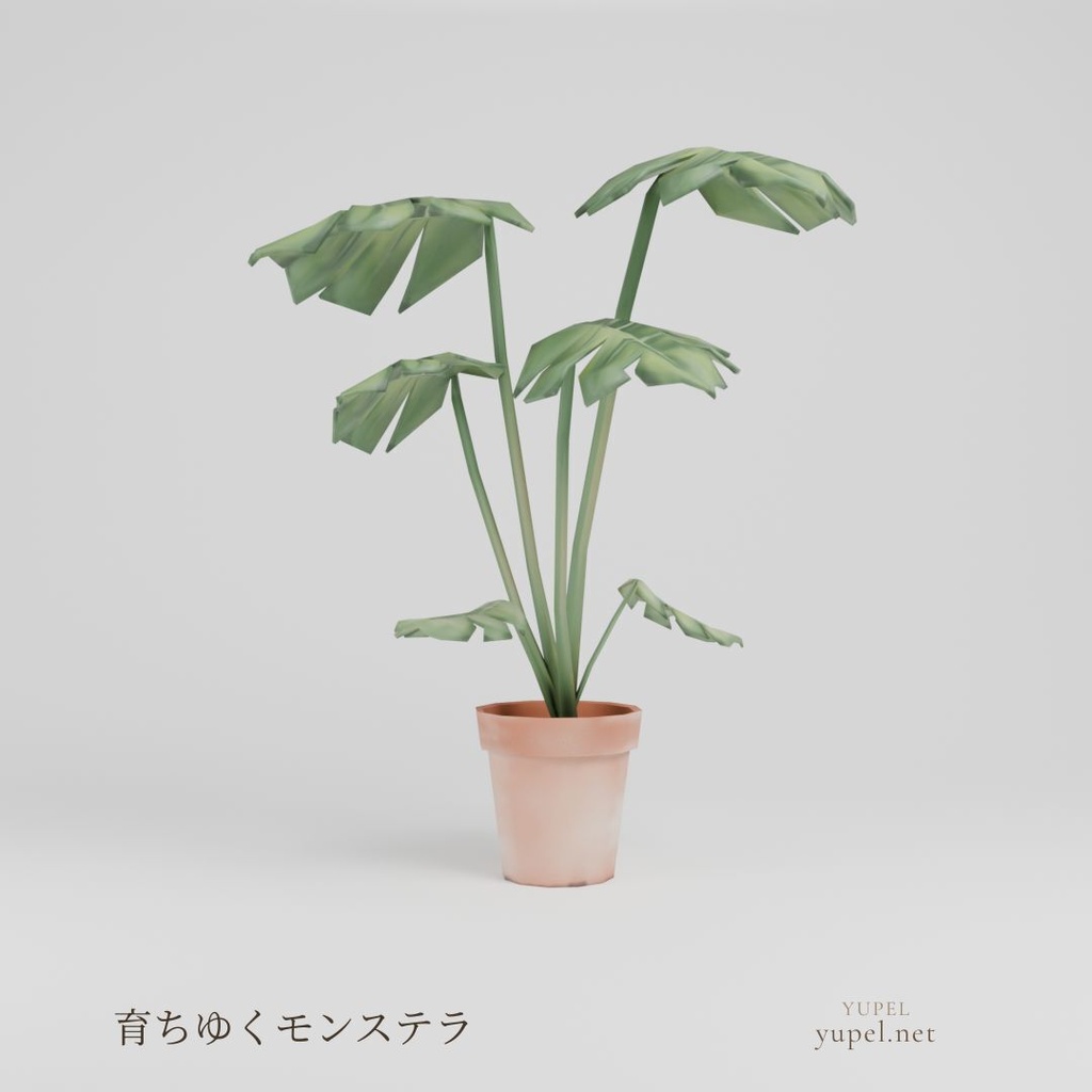 育ちゆくモンステラ|ローポリ3Dモデル(FBX・GLB)