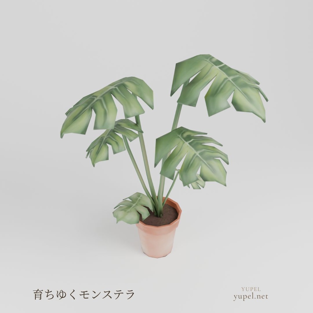 育ちゆくモンステラ｜ローポリ3Dモデル（FBX・GLB）