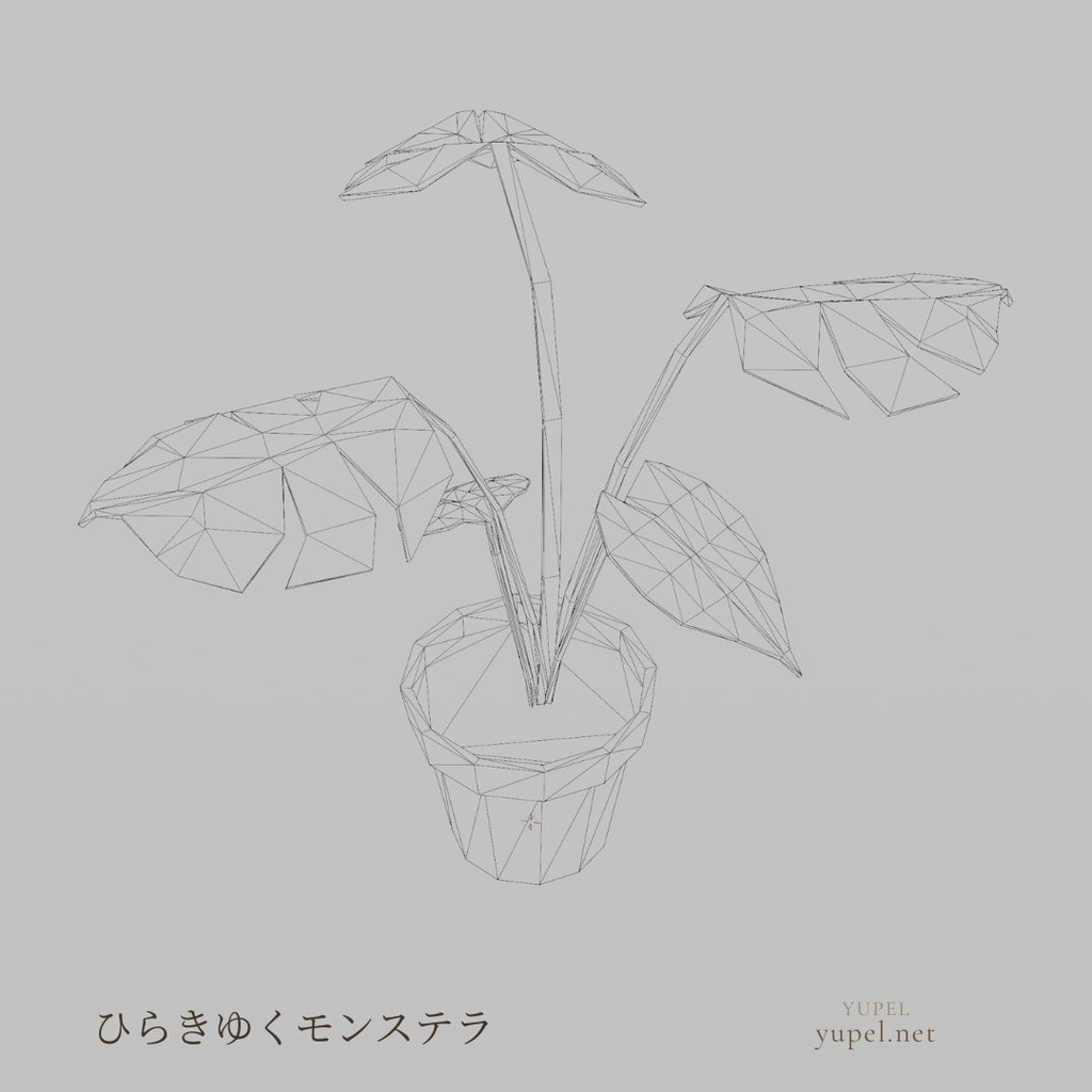 ひらきゆくモンステラ|ローポリ3Dモデル(FBX・GLB)