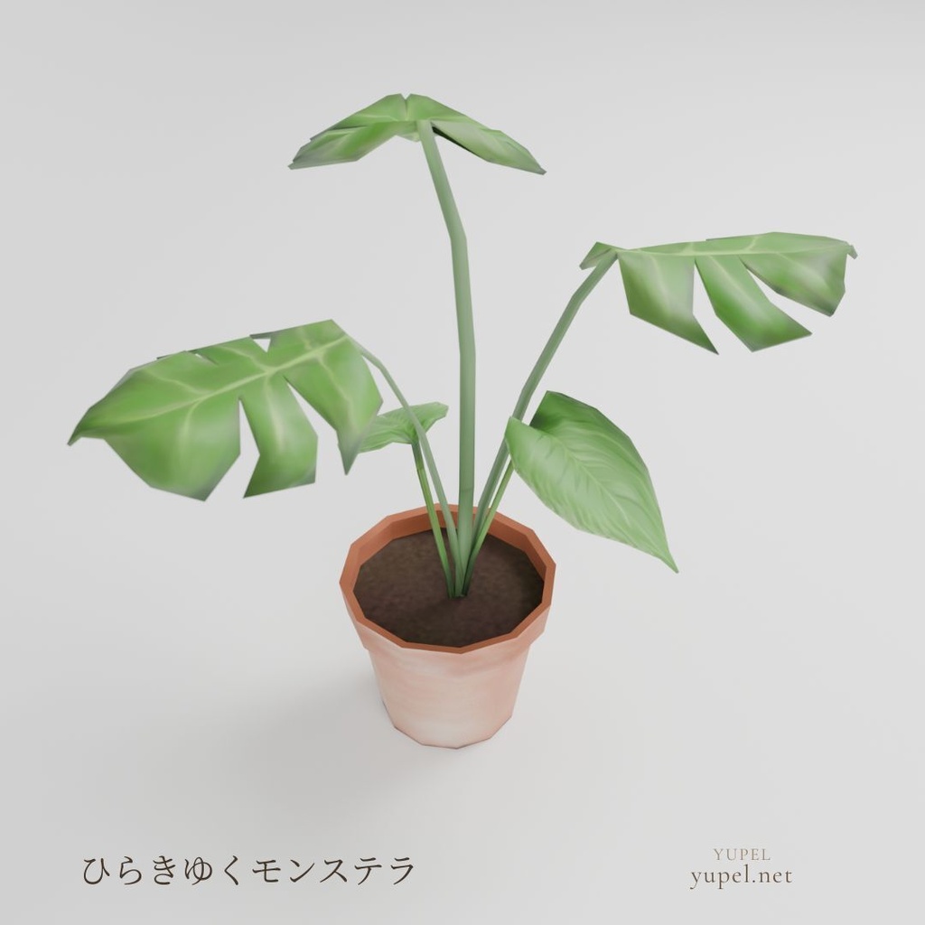 ひらきゆくモンステラ｜ローポリ3Dモデル（FBX・GLB）
