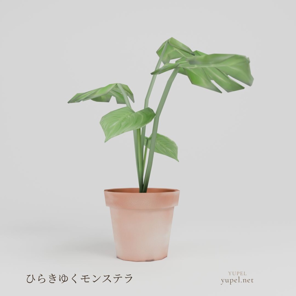 ひらきゆくモンステラ|ローポリ3Dモデル(FBX・GLB)