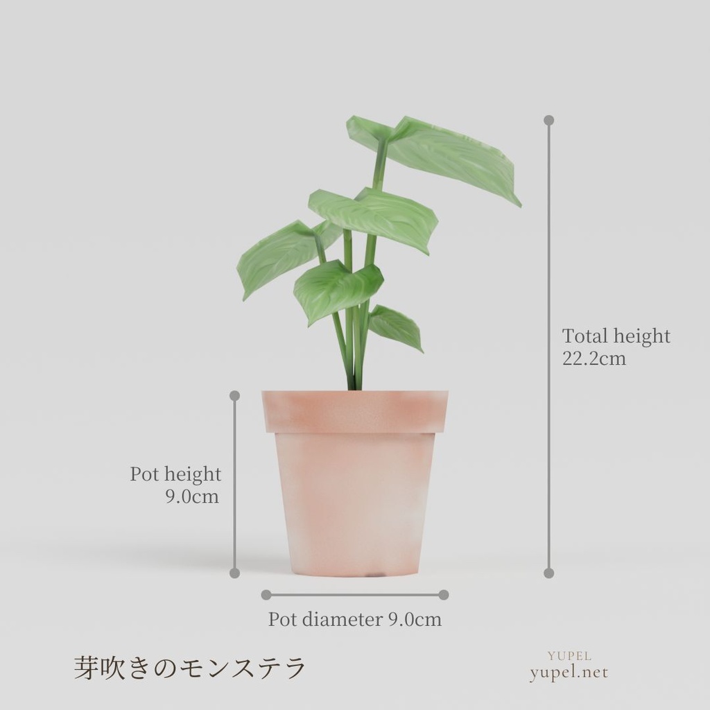 モンステラ 3サイズセット|ローポリ3Dモデル(FBX・GLB)