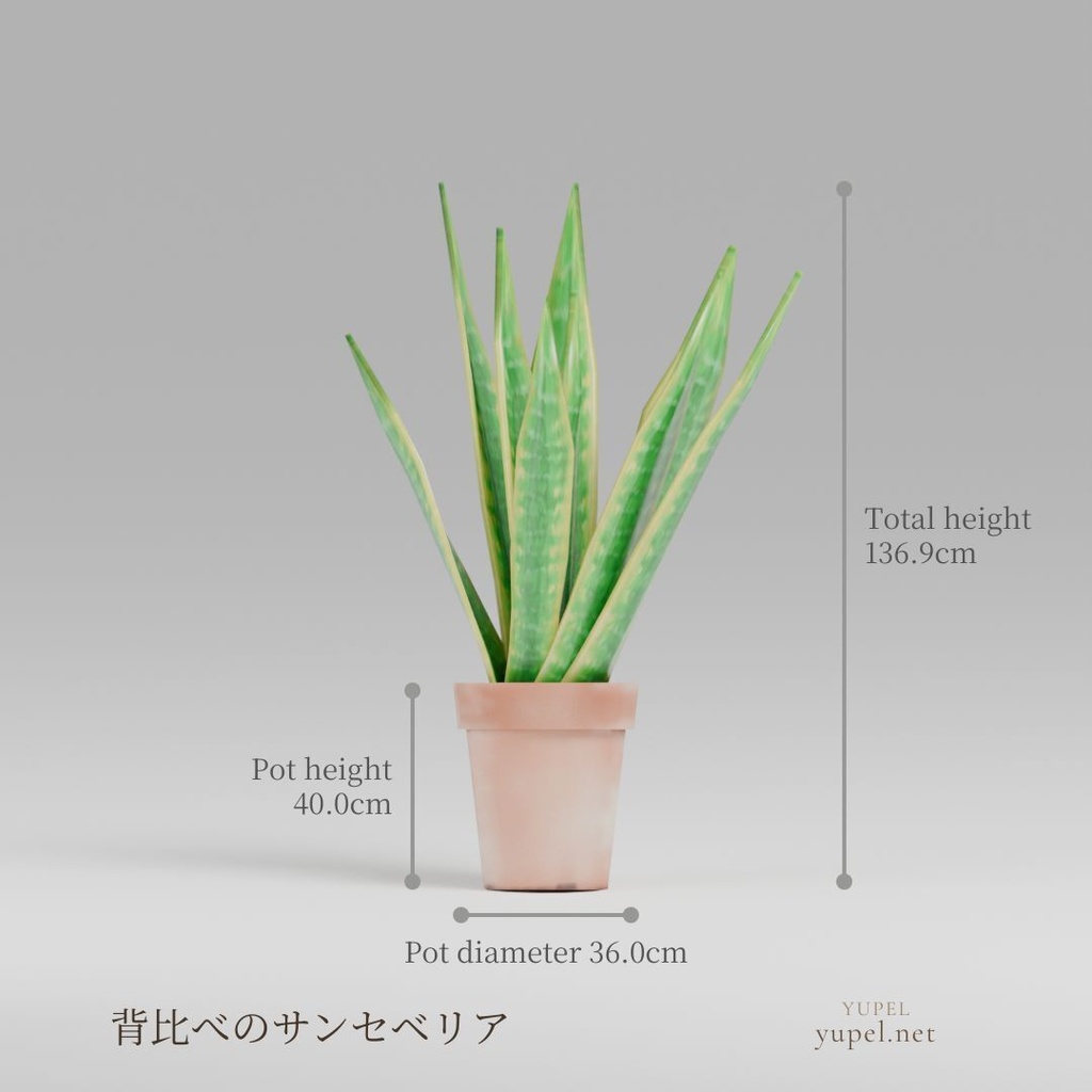 観葉植物 8種21モデル|ローポリ3Dモデル(FBX・GLB)