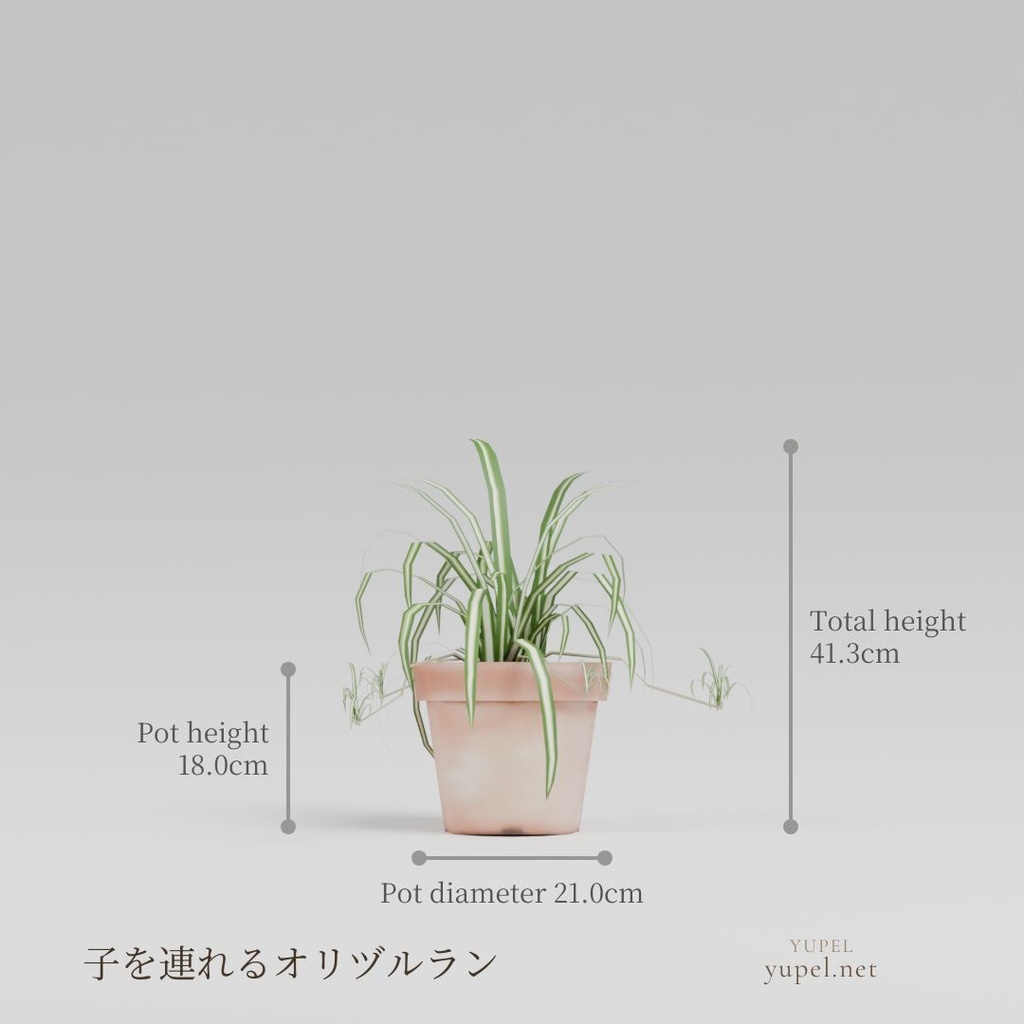 観葉植物 8種21モデル|ローポリ3Dモデル(FBX・GLB)