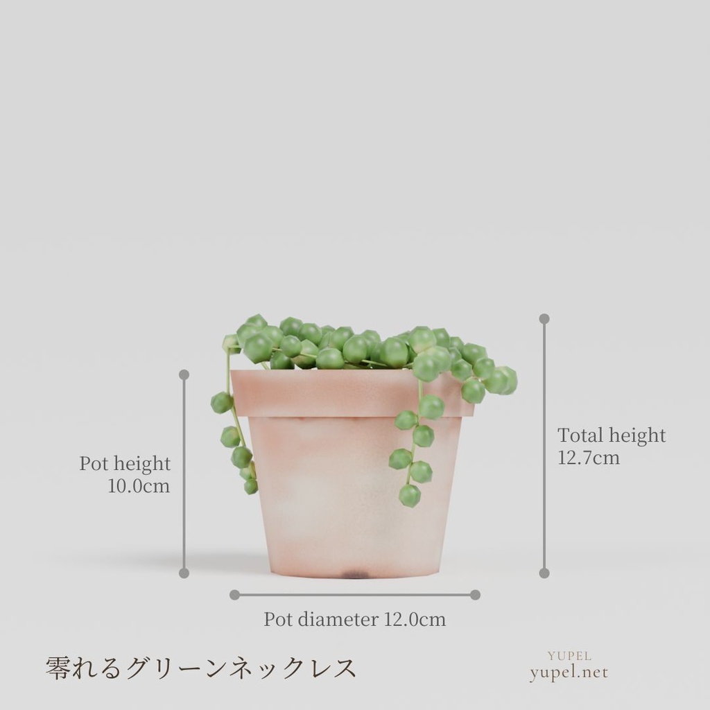 観葉植物 8種21モデル|ローポリ3Dモデル(FBX・GLB)