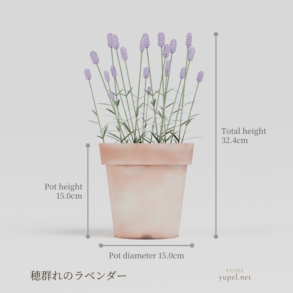 観葉植物 8種21モデル|ローポリ3Dモデル(FBX・GLB)
