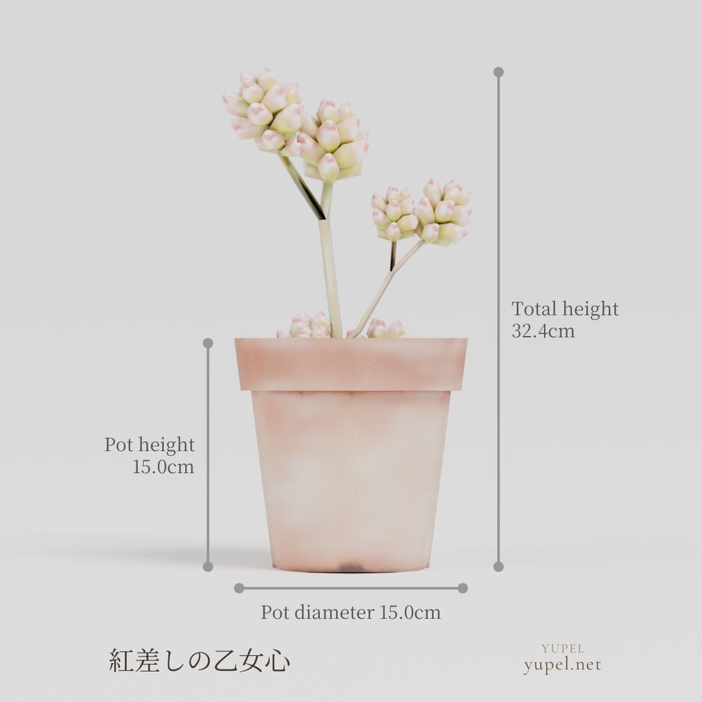 観葉植物 8種21モデル|ローポリ3Dモデル(FBX・GLB)
