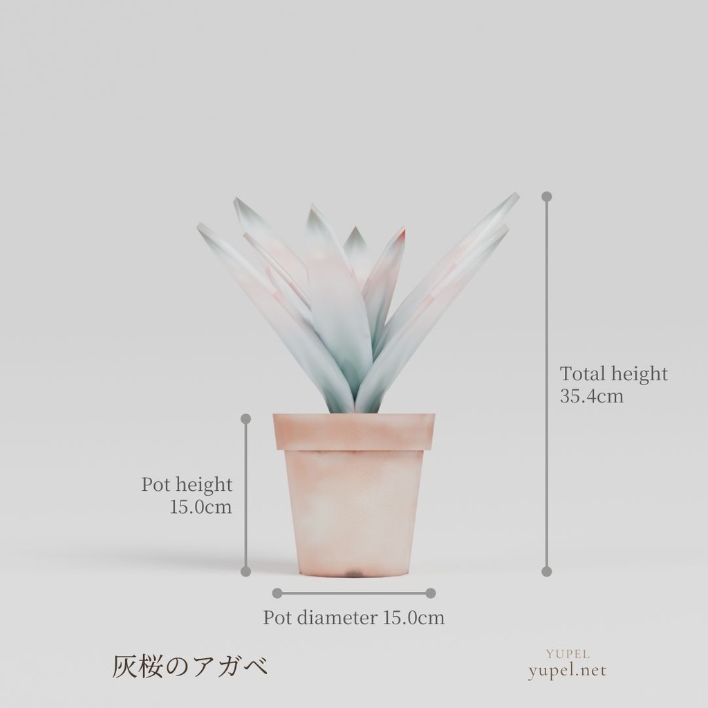 観葉植物 8種21モデル|ローポリ3Dモデル(FBX・GLB)