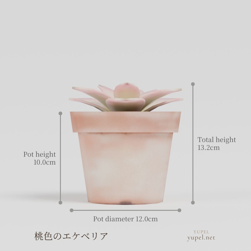 観葉植物 8種21モデル|ローポリ3Dモデル(FBX・GLB)
